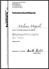 Blutegeltherapie Seminar