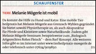 Schaufenster im "der Sonntag"